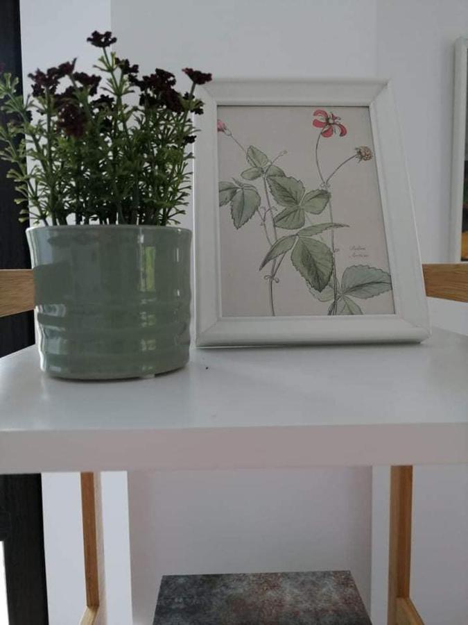 Belcara Apartment บุชเตนี ภายนอก รูปภาพ